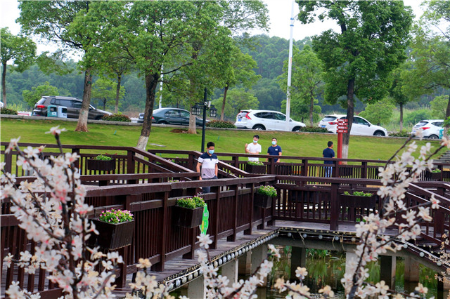 1600660844762264.jpg IMG_8215.JPG