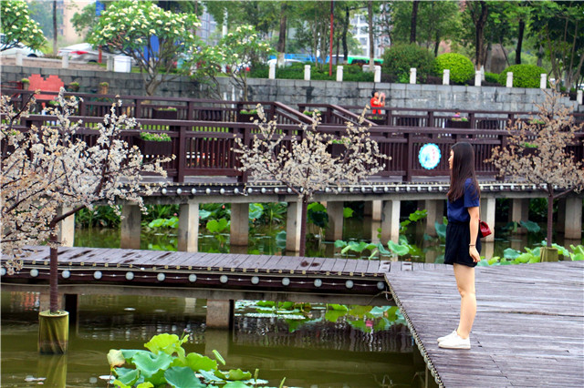 1600660850914754.jpg IMG_8217.JPG