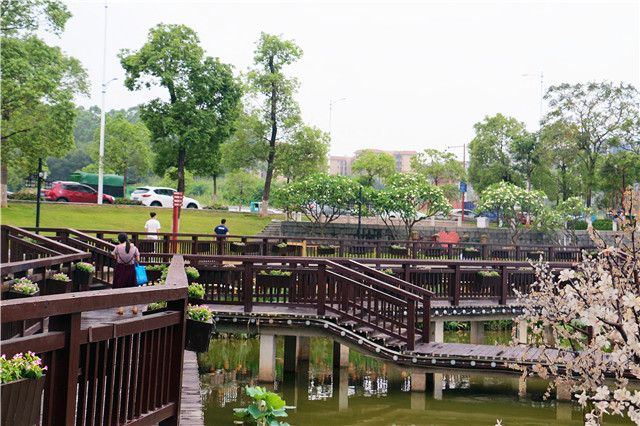 1600660955920953.jpg IMG_8288.JPG