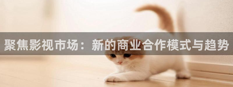 麥田映像攝影怎么樣：聚焦影視市場：新的商業合作模式與趨勢
